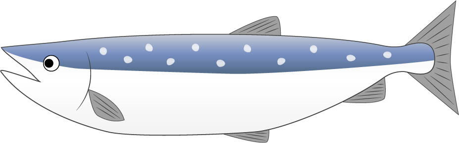 salmon-1